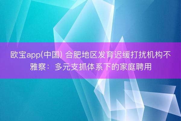 欧宝app(中国) 合肥地区发育迟缓打扰机构不雅察：多元支抓体系下的家庭聘用
