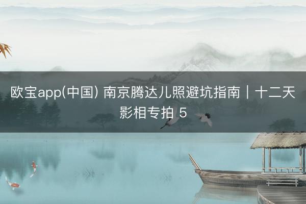 欧宝app(中国) 南京腾达儿照避坑指南｜十二天影相专拍 5