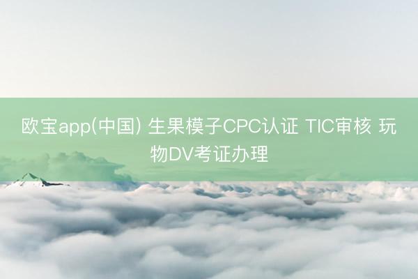 欧宝app(中国) 生果模子CPC认证 TIC审核 玩物DV考证办理