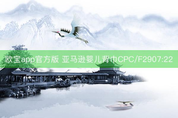 欧宝app官方版 亚马逊婴儿背巾CPC/F2907:22