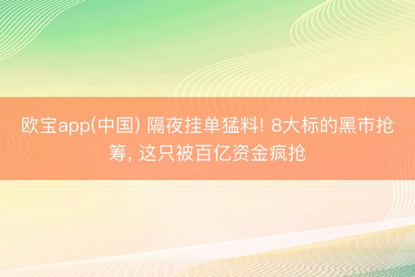 欧宝app(中国) 隔夜挂单猛料! 8大标的黑市抢筹， 这只被百亿资金疯抢