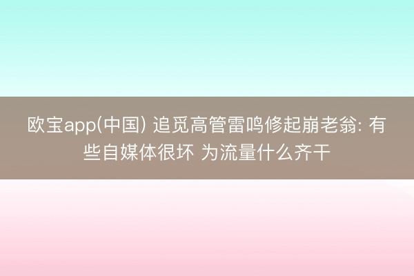 欧宝app(中国) 追觅高管雷鸣修起崩老翁: 有些自媒体很坏 为流量什么齐干