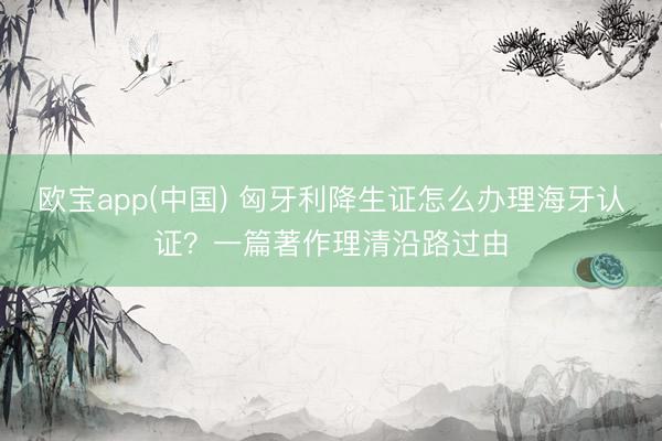 欧宝app(中国) 匈牙利降生证怎么办理海牙认证？一篇著作理清沿路过由