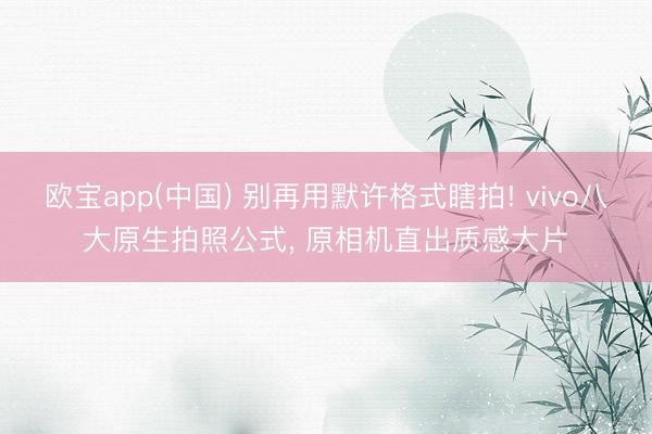 欧宝app(中国) 别再用默许格式瞎拍! vivo八大原生拍照公式， 原相机直出质感大片