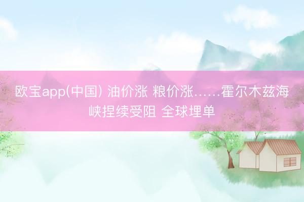 欧宝app(中国) 油价涨 粮价涨……霍尔木兹海峡捏续受阻 全球埋单