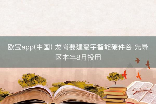 欧宝app(中国) 龙岗要建寰宇智能硬件谷 先导区本年8月投用