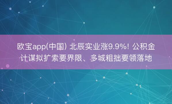 欧宝app(中国) 北辰实业涨9.9%! 公积金计谋拟扩索要界限、多城粗拙要领落地