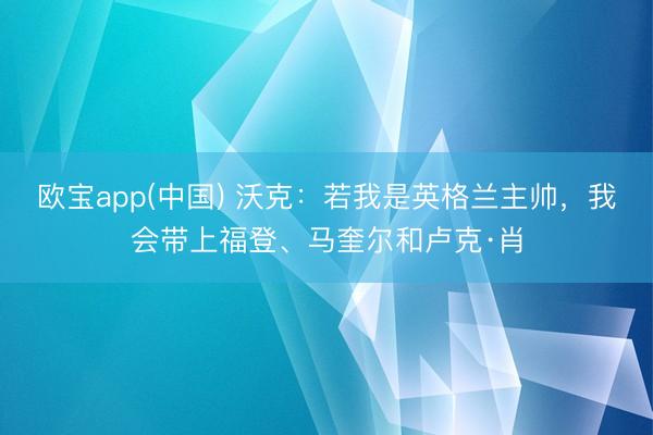 欧宝app(中国) 沃克：若我是英格兰主帅，我会带上福登、马奎尔和卢克·肖