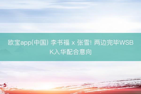 欧宝app(中国) 李书福 x 张雪! 两边完毕WSBK入华配合意向