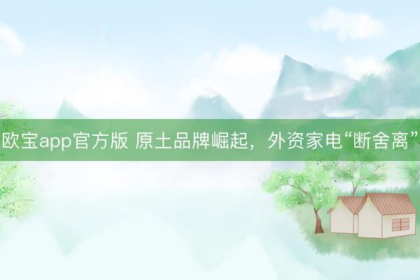 欧宝app官方版 原土品牌崛起，外资家电“断舍离”